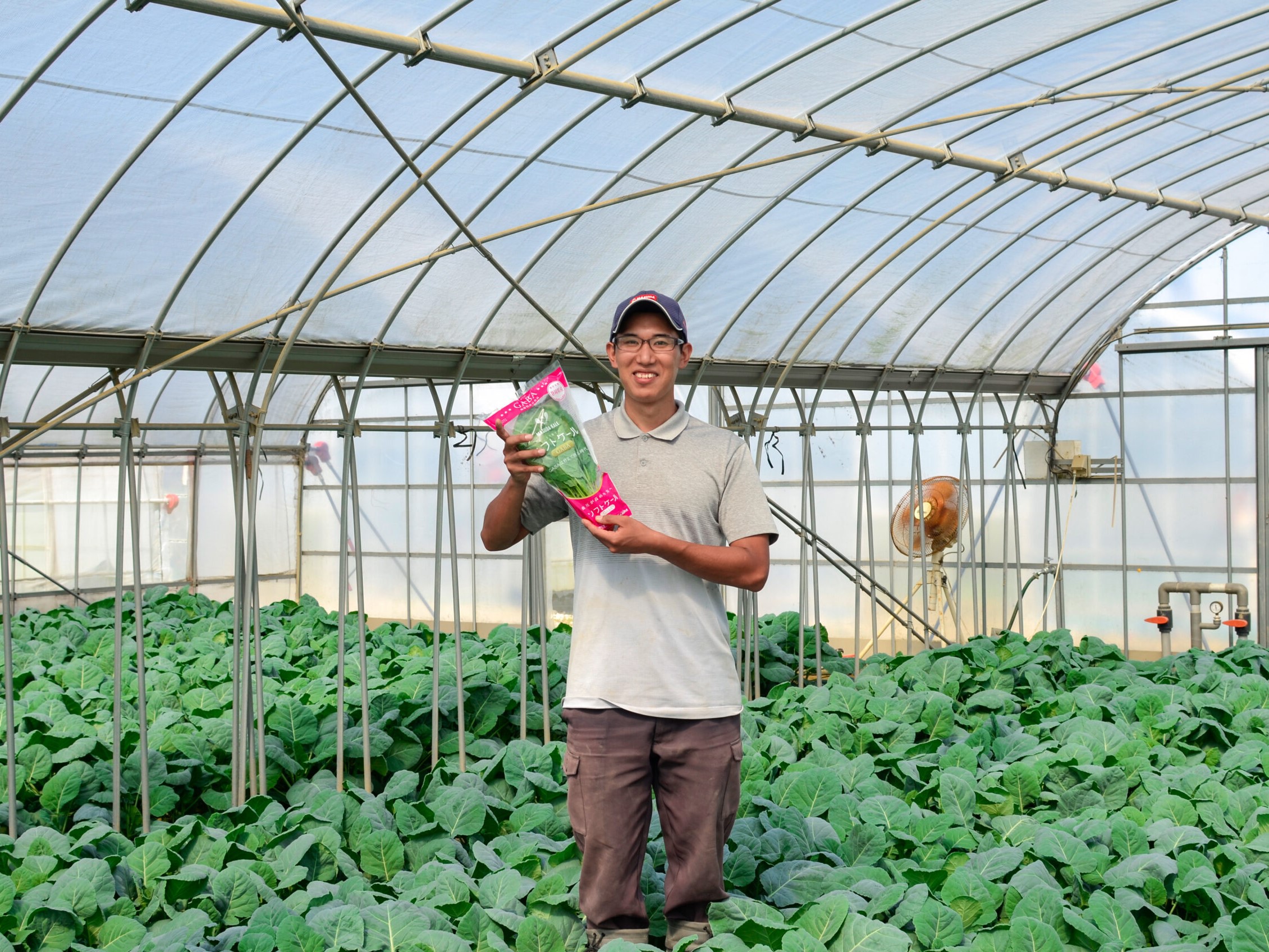 マスダケール＜増田採種場＞（静岡県） | 食育マルシェ｜健康経営