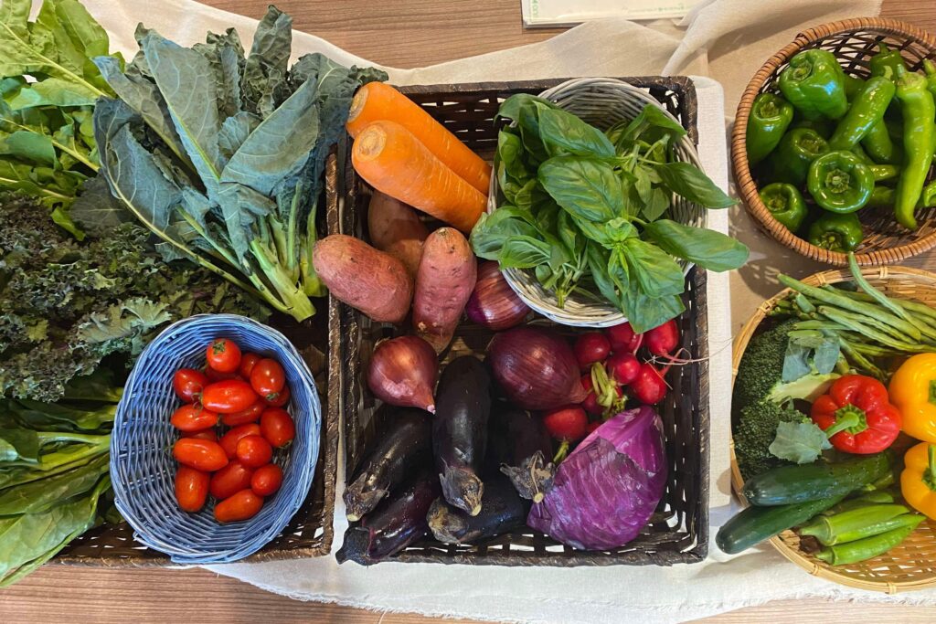 企業で実施される野菜中心の食育施策
従業員が旬の野菜に触れる取り組み事例