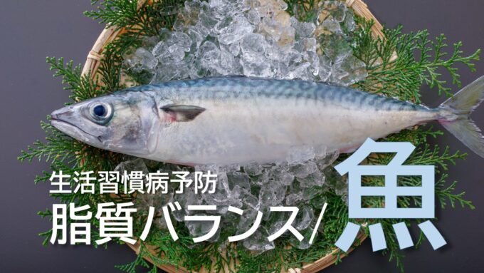 【お知らせ】野菜コースに『魚』コンテンツ新登場！